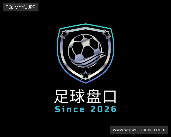 关于世界杯下注